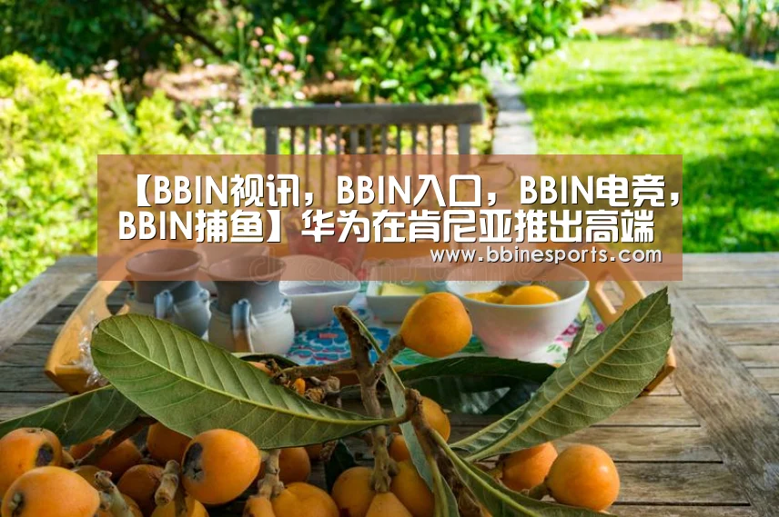 【BBIN视讯,BBIN入口,BBIN电竞,BBIN捕鱼】华为在肯尼亚推出高端智能手机华为P10(图1) BBIN视讯,BBIN入口,BBIN电竞,BBIN捕鱼