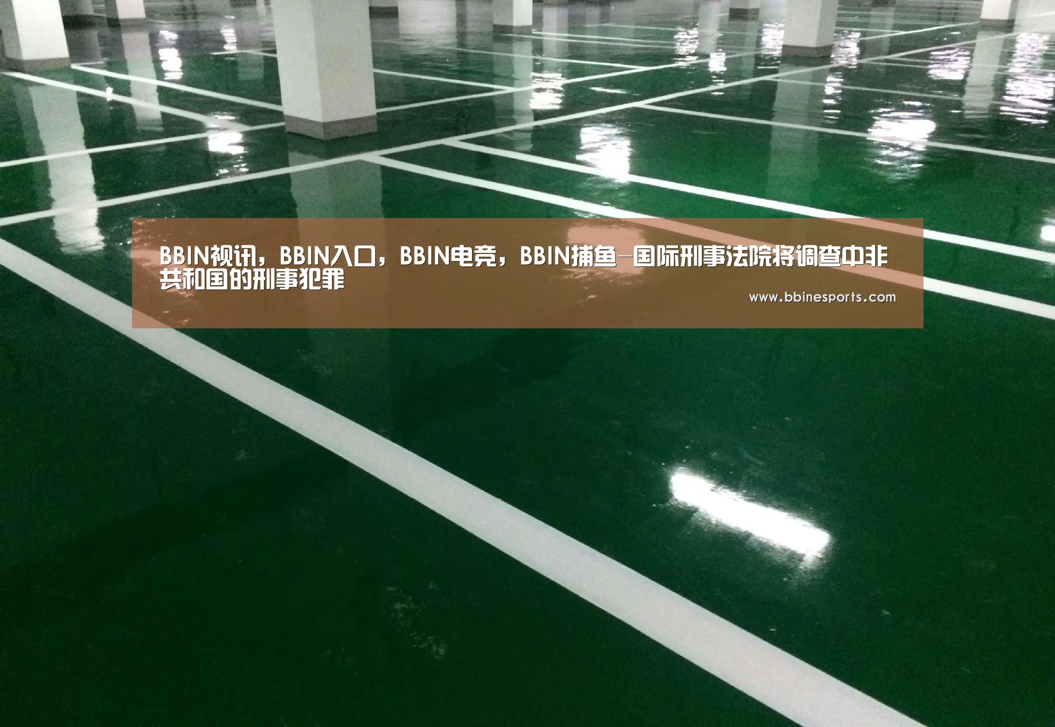 BBIN视讯，BBIN入口，BBIN电竞，BBIN捕鱼