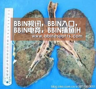 BBIN视讯,BBIN入口,BBIN电竞,BBIN捕鱼|HashKey Capital:一文说透以太坊 2.0 改变共识机制的原因和后续影响(图1) BBIN视讯,BBIN入口,BBIN电竞,BBIN捕鱼